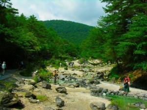 Reading the “White Paper on Tourism in Japan, 2013” (1): Overnight Domestic Travelers increased 5.2% to 170 million, Foreign Guests Reach the Record High