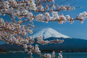 The number of international visitors to Japan reaches record high of 1,000,000 –July 2013