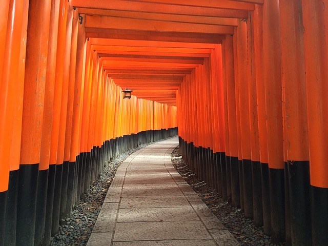 International guests staying in lodgings in Kyoto City exceeded 50% for the first time in April 2017