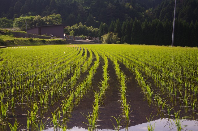 International farm stay travelers in Japan tend to increase with the largest ratio of one or two nights
