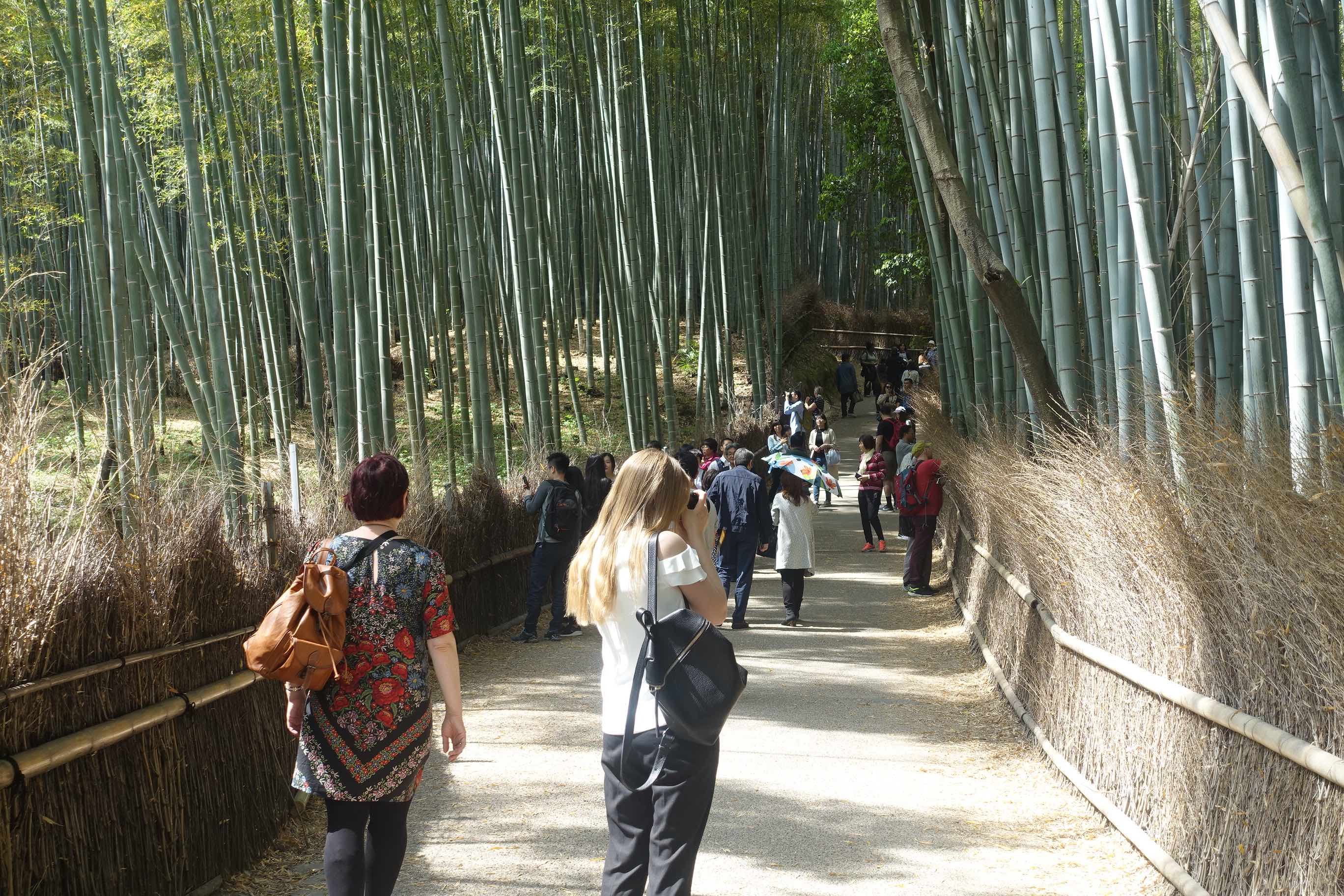 Over-tourism solution trial project in Kyoto works dispersal in Arashiyama Region by controlling time and place