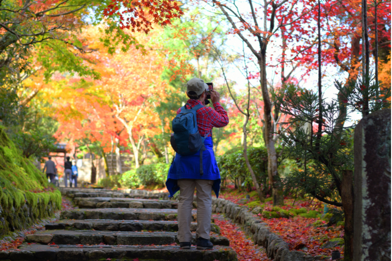 International visitors to Japan down 0.4% in November 2019, year-on-year reduction for two months in a row