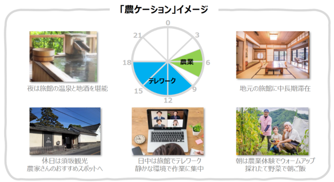  農業体験＋ワーケーションの「農ケーション」、長野県の老舗温泉旅館とマスカット農家が実証実験