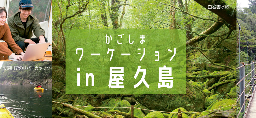  鹿児島県、指宿・屋久島でワーケーションモニターツアーを開催、参加者募集、各15名限定