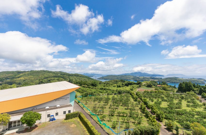  鹿児島県・長島町でワーケーション×キャリアアップを目指すツアーの参加者を募集、2023年2月開催、柑橘ソムリエの資格取得も