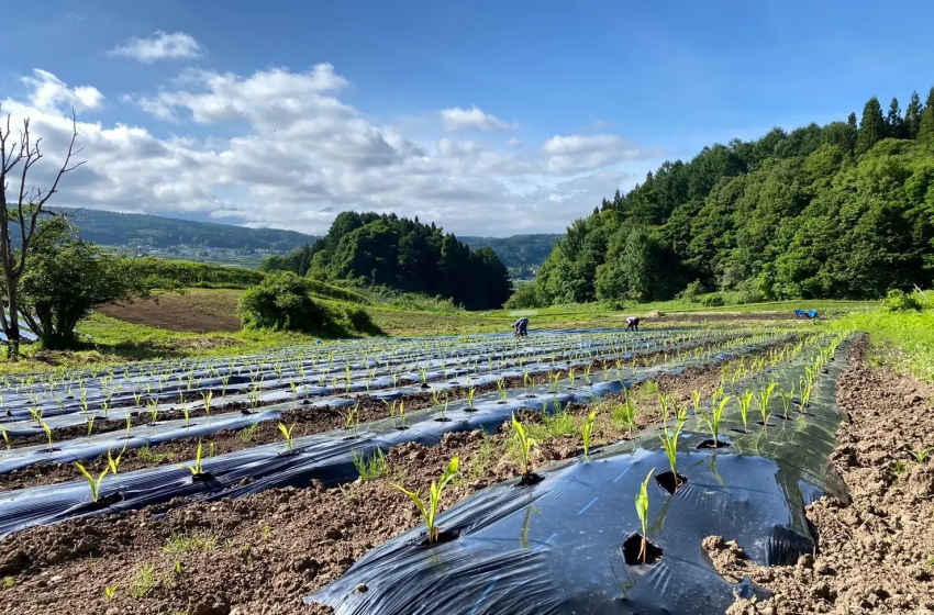  長野県・飯綱町で心身の健康につながるアグリスポーツワーケーションの効果検証を開始、マッチングプログラムを経て