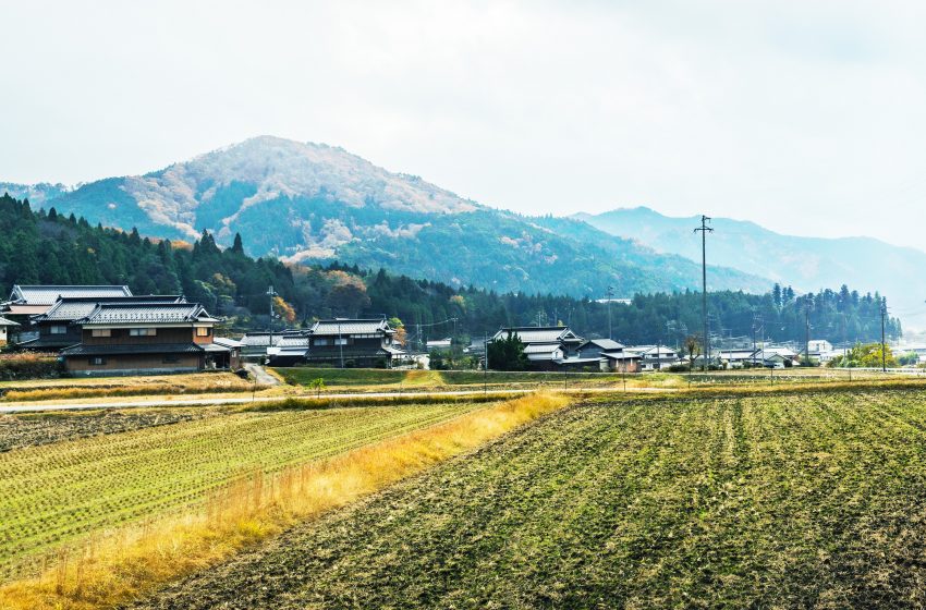  兵庫県・宍粟（しそう）市、森林の中で企業・個人事業主向けワーケーションセミナー開催、10/25