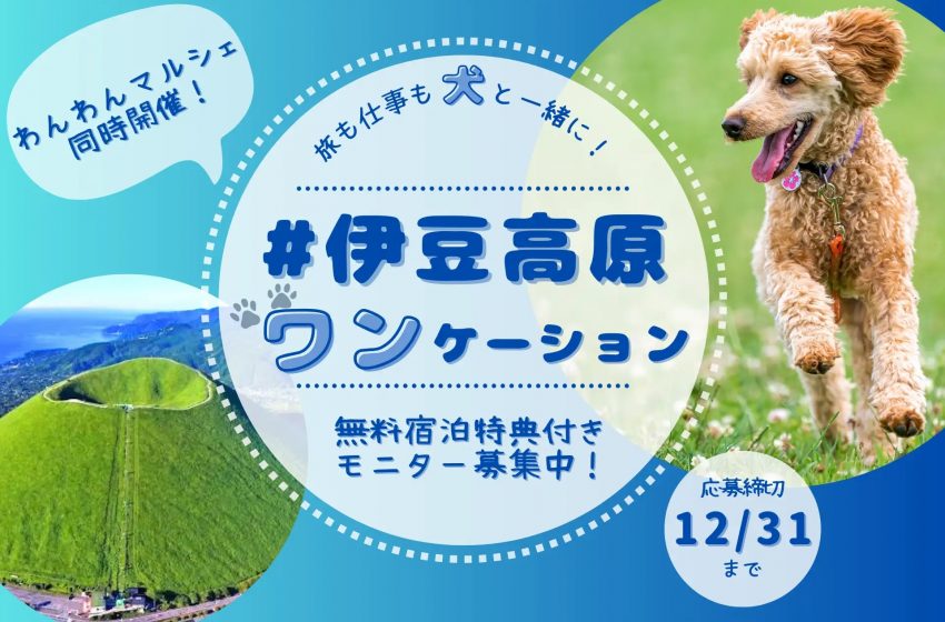  静岡県・伊豆高原で、犬とワーケーションできるプログラムのモニターを募集、2024年3/8~9、宿泊無料