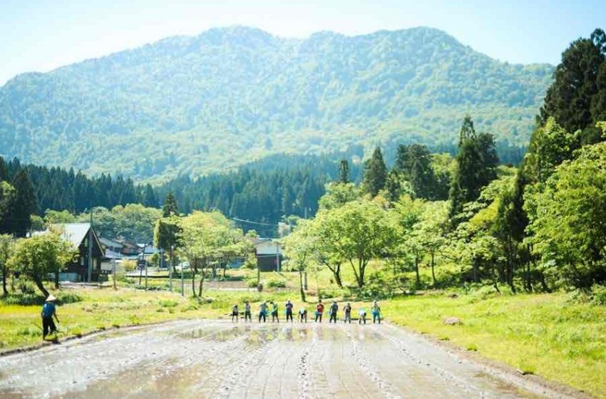  長野県北安曇郡・小谷村で田植え・山菜取り体験をするワーケーションモニター募集、5/15～19