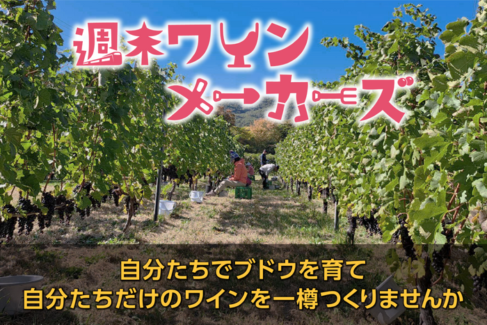  長野県・塩尻市、関係人口の創出を目指し「週末ワイン」作りの参加者を募集中