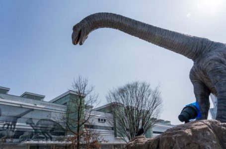 福井県・福井市