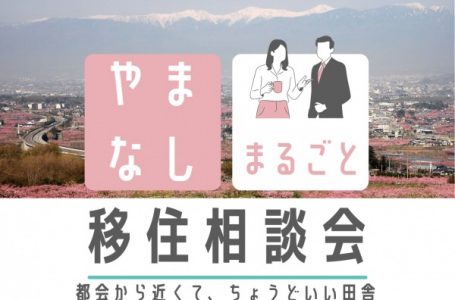 HPより