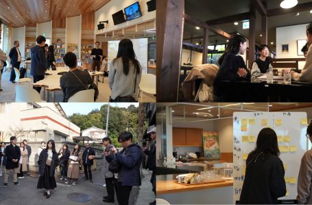 報道発表資料より