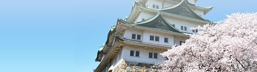 愛知県、離島ワーケーション等推進事業の業務委託先を募集【事業者向け】