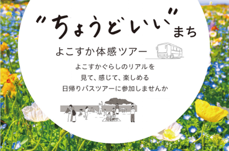 報道発表資料より