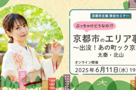 報道発表資料より