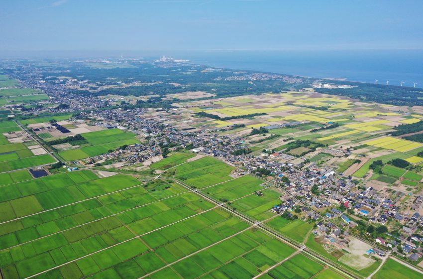 新潟市、副業関係人口創出のため、2025年度の事業者公募を開始【事業者向け】