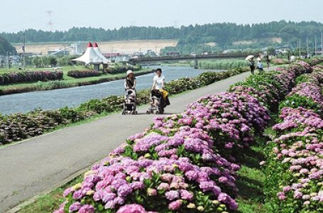 公式サイトより