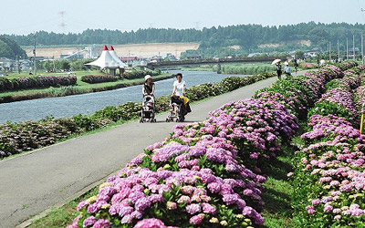 千葉県・多古町、東京からの移住で移住支援金を支給、世帯に100万円で子育て加算も