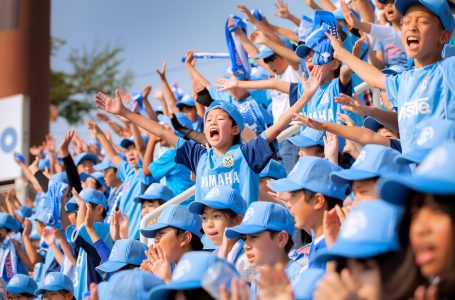 報道発表資料より