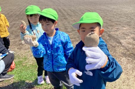 報道発表資料より
