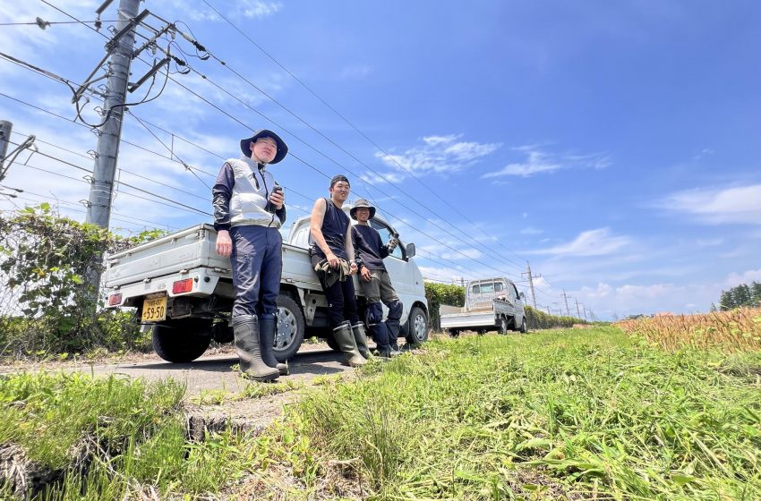  栃木県・さくら市、農業振興に従事する地域おこし協力隊を2名募集