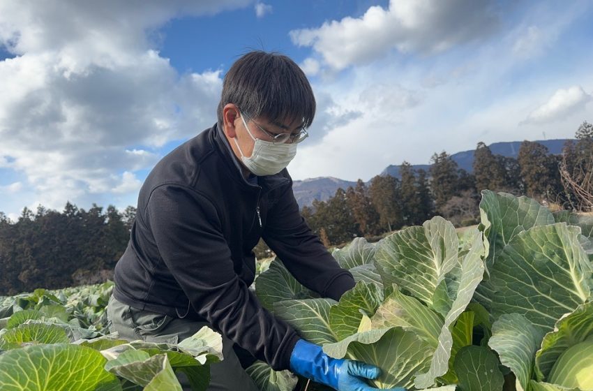 群馬県・下仁田町(しもにたまち)、農業や森林整備など5職種で6名の地域おこし協力隊を募集