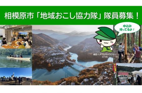 報道発表資料より