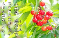 山形県・寒河江（さがえ）市、観光振興を担う地域おこし協力隊員を1名募集