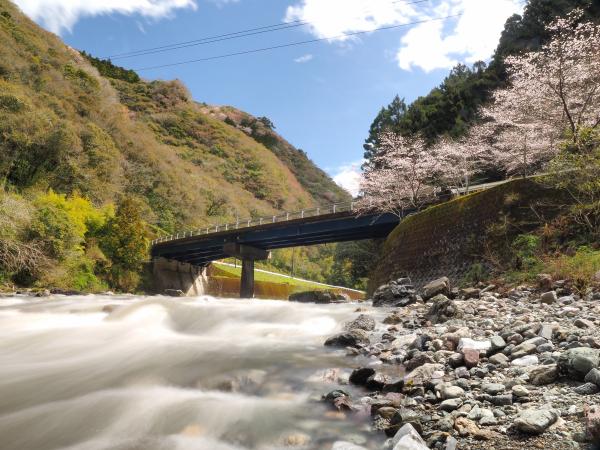 高知県・高知市鏡地域、企業委託型で林業に従事する地域おこし協力隊を1名募集