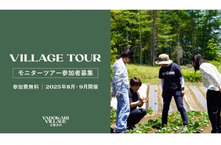 報道発表資料より
