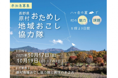 チラシより