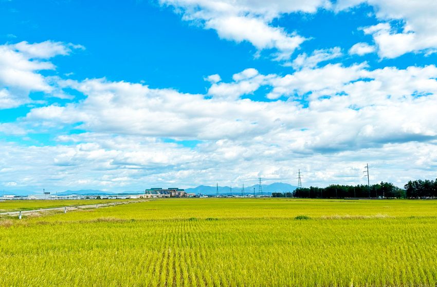 新潟県・燕(つばめ)市、移住者交流会を開催、9/5