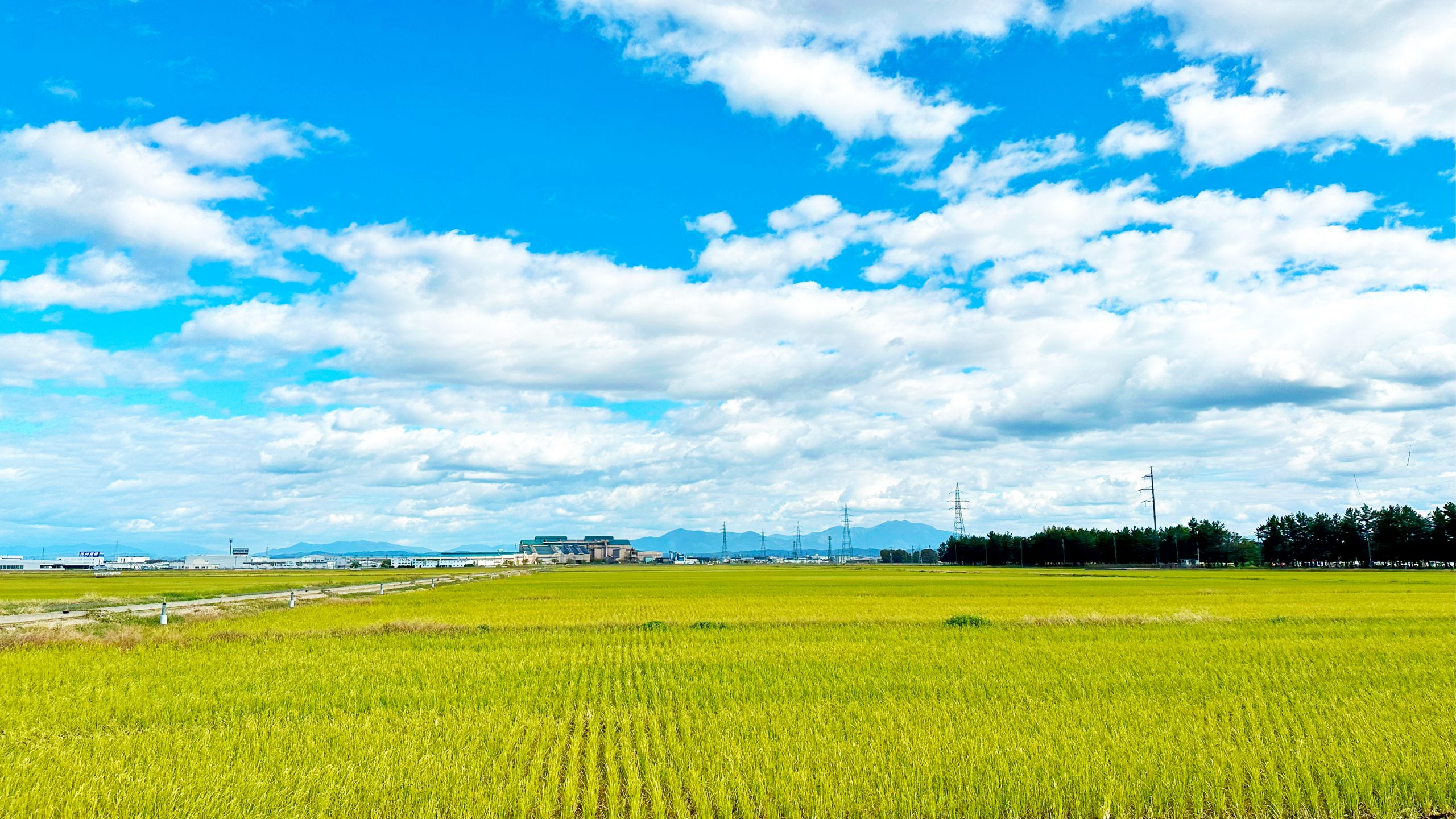 新潟県・燕市