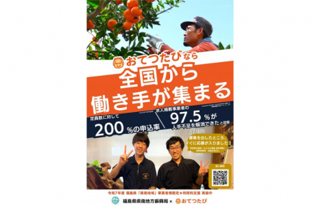 チラシより