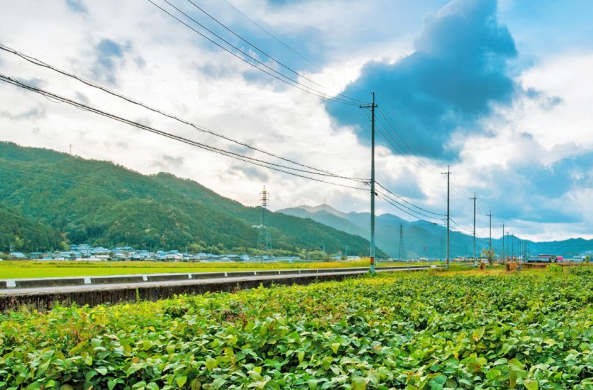 滋賀県・米原市、農業振興と地域活性化のため地域おこし協力隊を4名募集