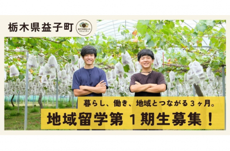報道発表資料より