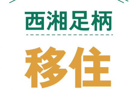 報道発表資料より