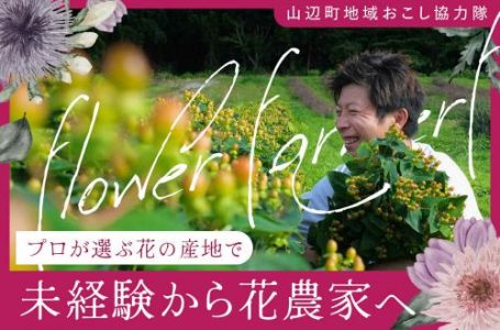 公式サイトより
