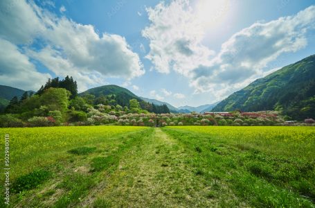 長野県・阿智村