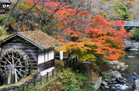 奈良県・東吉野村