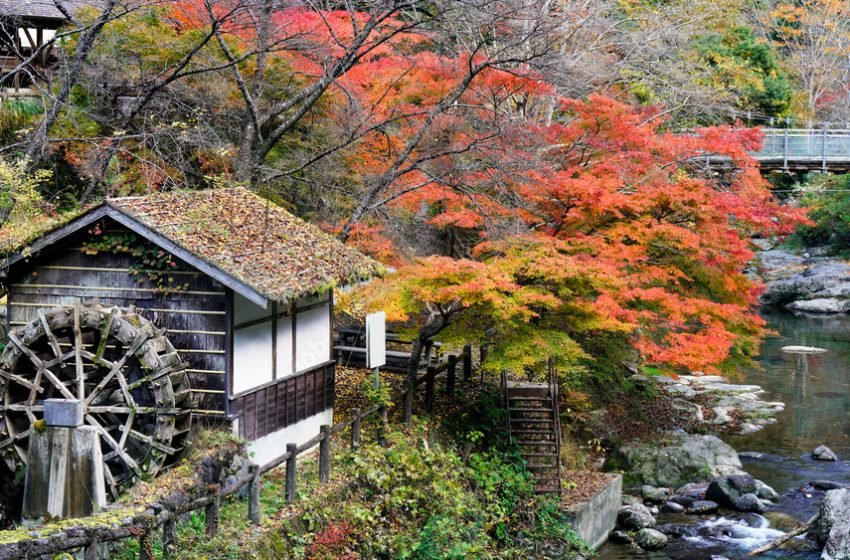 奈良県・東吉野村、林業に従事する地域おこし協力隊を募集