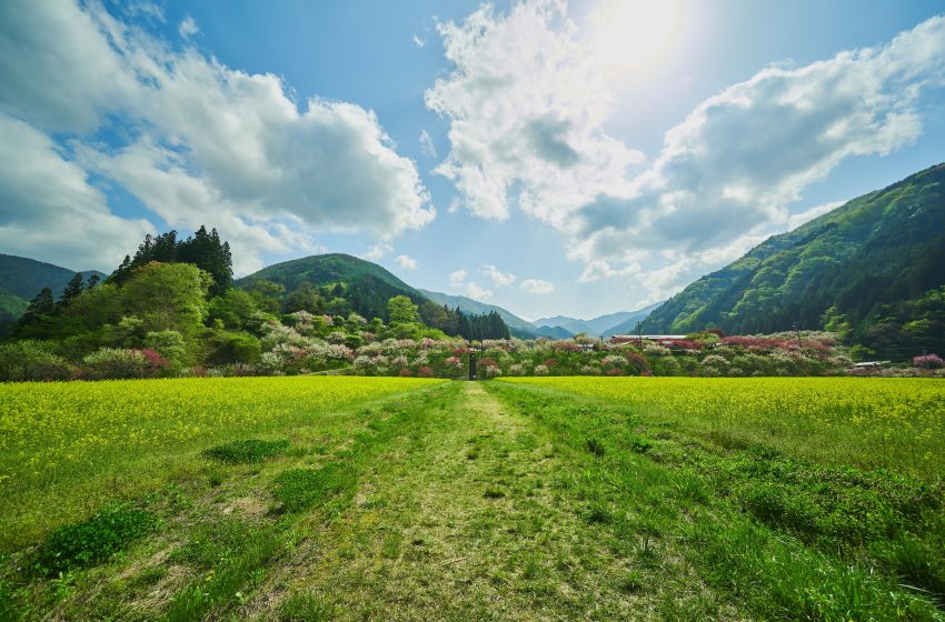  長野県・阿智村（あちむら）、地域おこし協力隊応募希望者対象に、おためし体験ツアーを開催