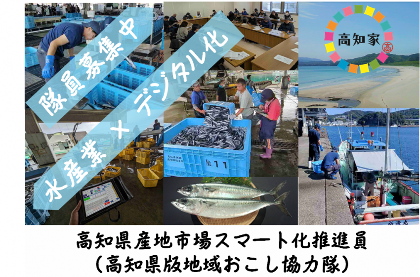 高知県・土佐清水市で水産業のデジタル化を担う地域おこし協力隊を募集