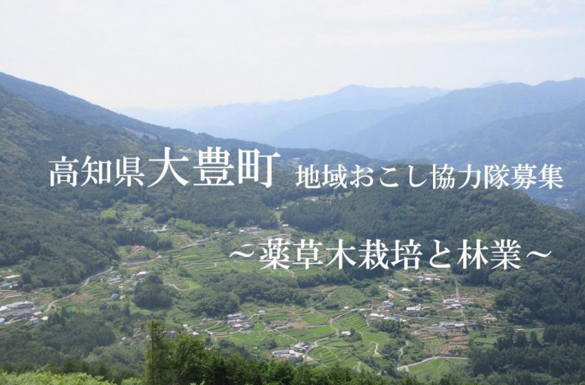  高知県・大豊町（おおとよちょう）、林業事業を担う地域おこし協力隊を募集
