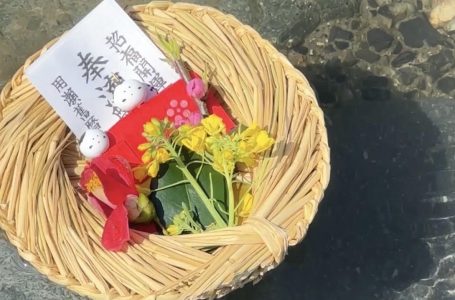 報道発表資料より