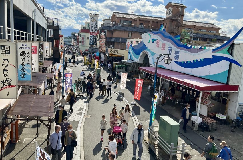 静岡県・沼津市、三島市、移住体験バスツアーを開催、参加者募集、10/4