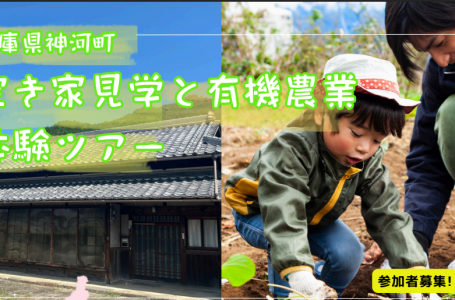 チラシより