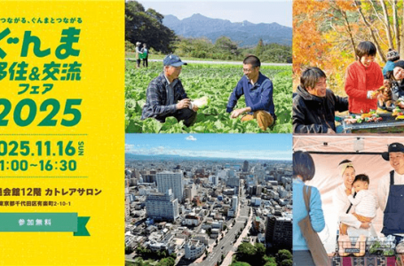 報道発表資料より
