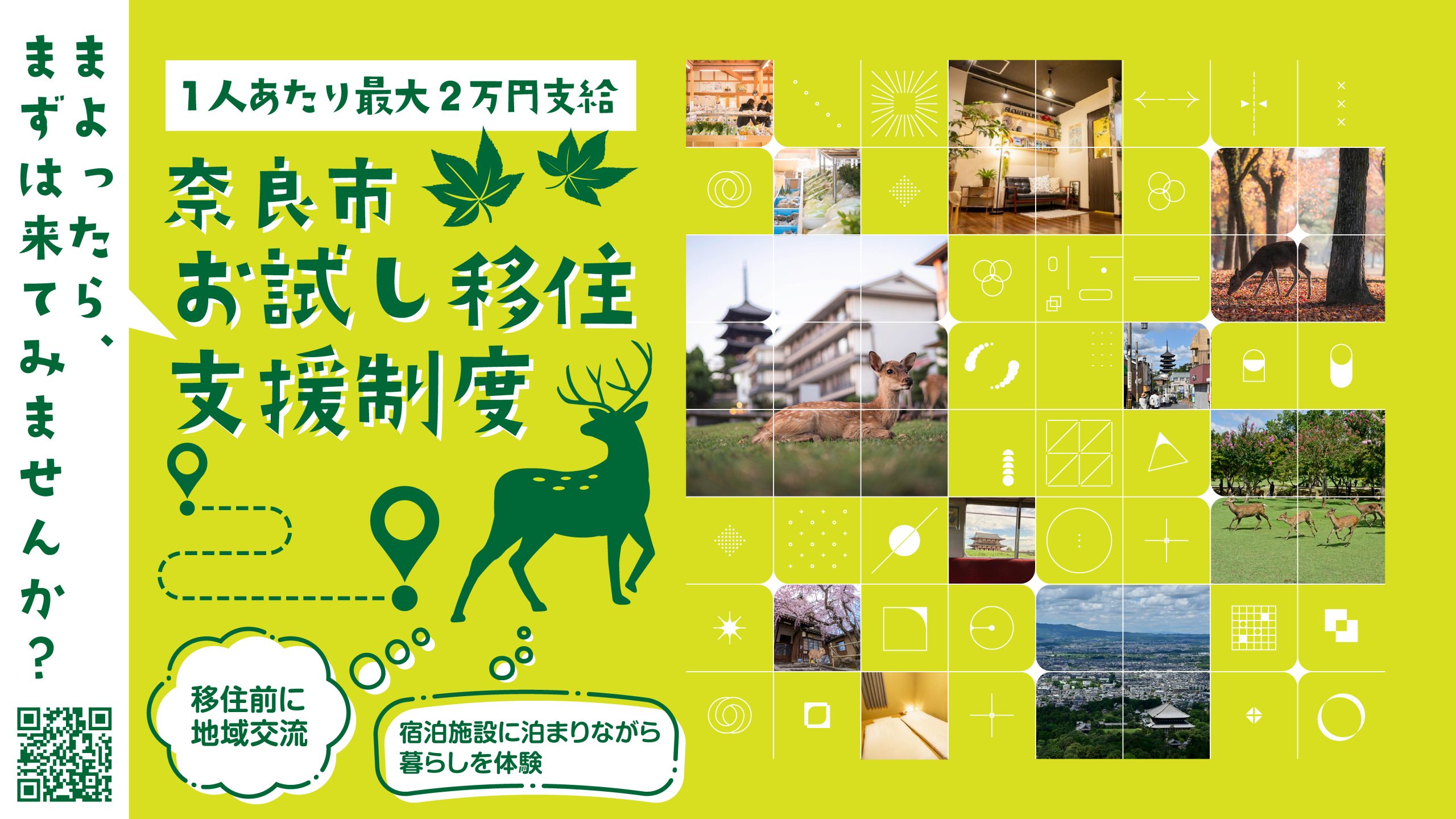 報道発表資料より